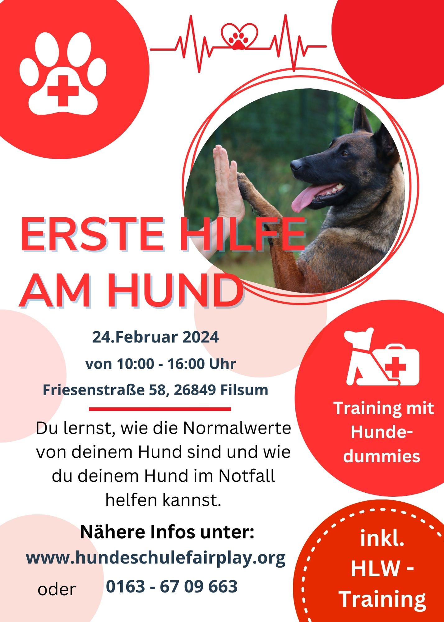 Erste Hilfe Am Hund 1