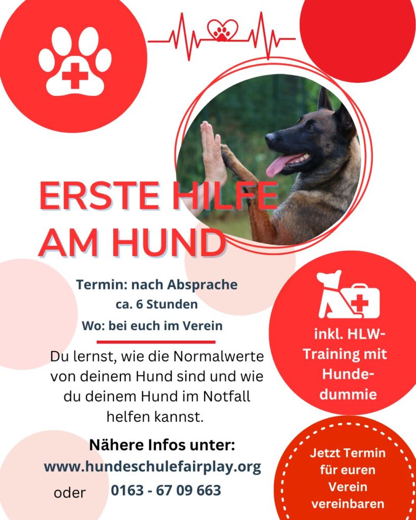 Erste Hilfe Am Hund Verein