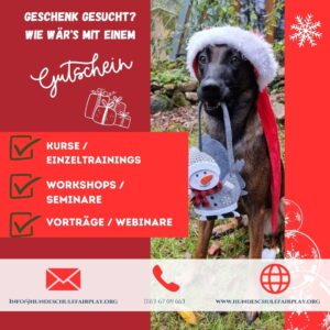 Weinachtsgutschein Hs